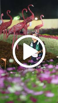 BIB:  <button type="button" onclick="openModal(27591202)" class="btn btn-primary btn-sm float-right" data-toggle="modal" data-target=".modal-high-quality">
                <i class="fa fa-download"></i> Download
                </button>